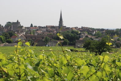 Meursault Village from Vineyards Again